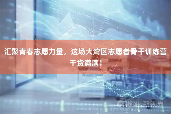 汇聚青春志愿力量，这场大湾区志愿者骨干训练营干货满满！