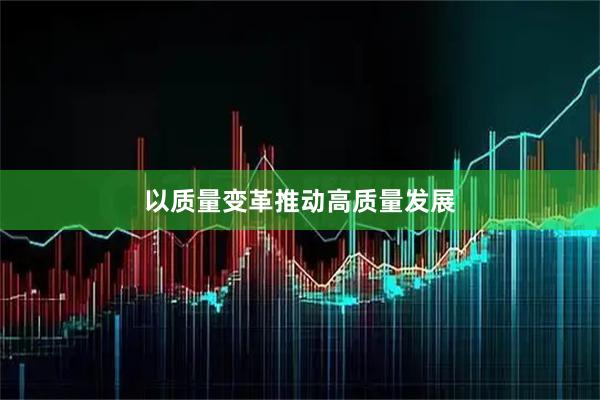 以质量变革推动高质量发展